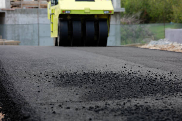 Best Affordable Driveway Pavers  in Santa Teresa, NM