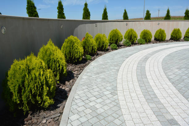 Best Driveway Resurfacing Pavers  in Santa Teresa, NM